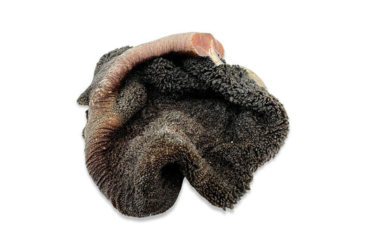 Tripe for Dogs: The Smelly Superfood Raw Feeders Swear By