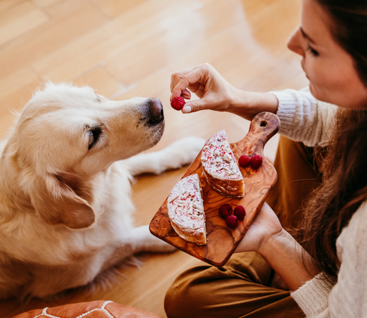 Choosing Quality Raw Food For Dogs