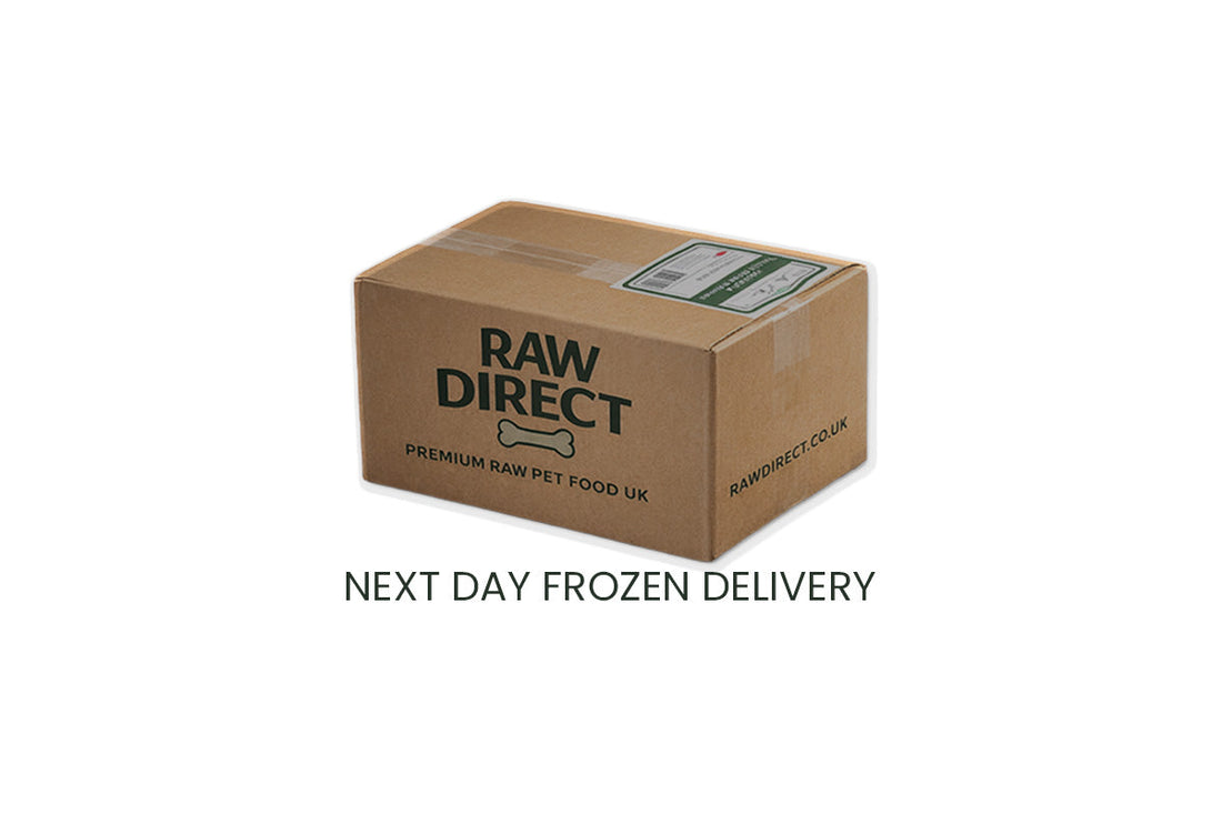 Best Raw Dog Food UK (2026 Guide) | Complete Buying Guide for Dogs