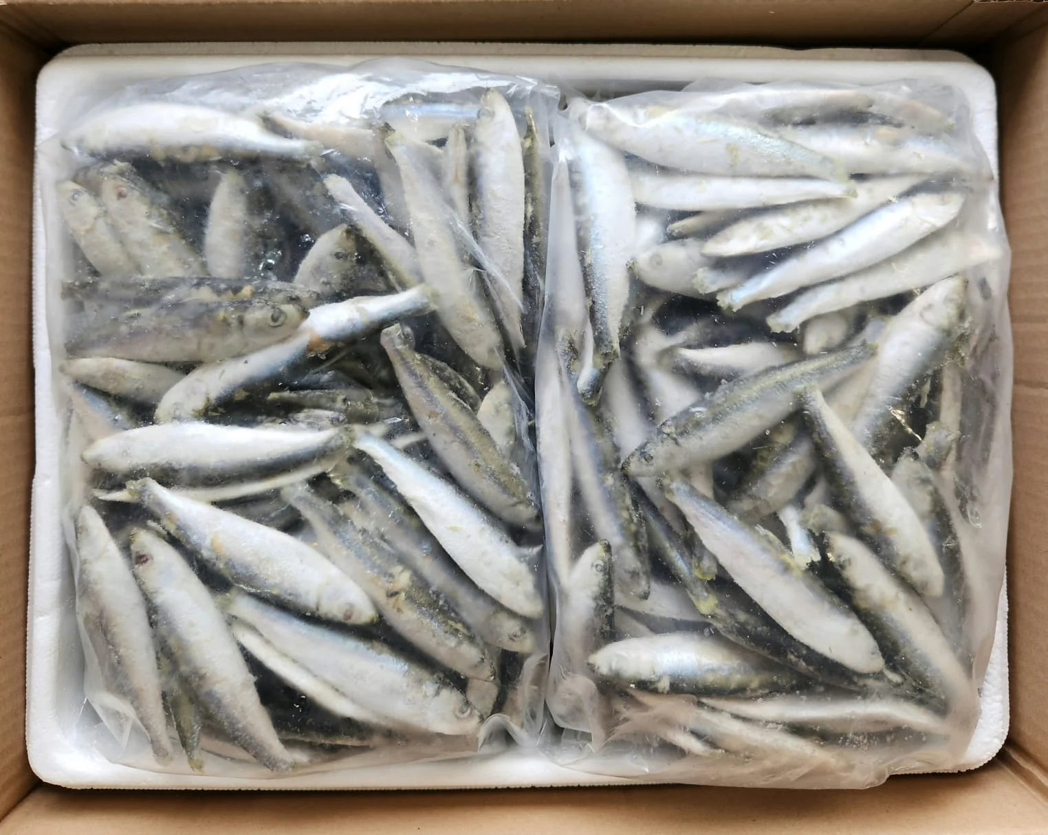 Sprats - Raw Direct