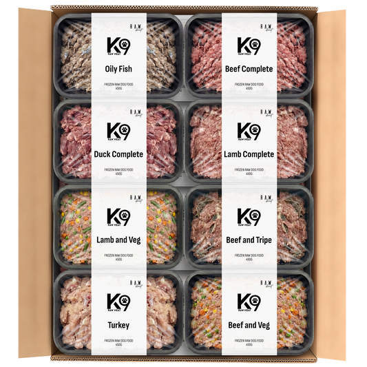 K9 Raw No Chicken Box 454g Blocks