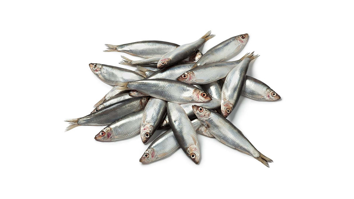 Sprats - Raw Direct