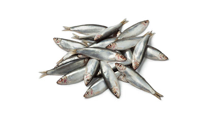 Sprats - Raw Direct